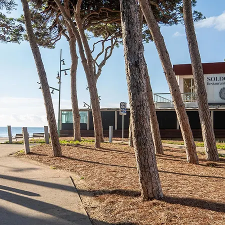 Mediterranean Way - Olivos *
