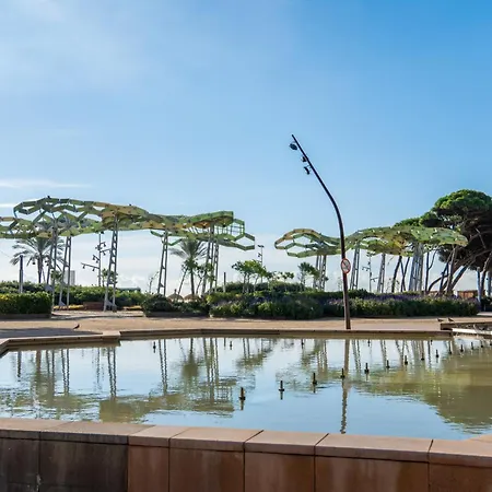 Mediterranean Way - Olivos