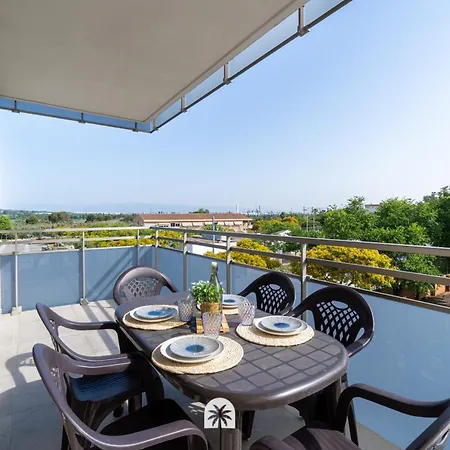 Mediterranean Way - Olivos